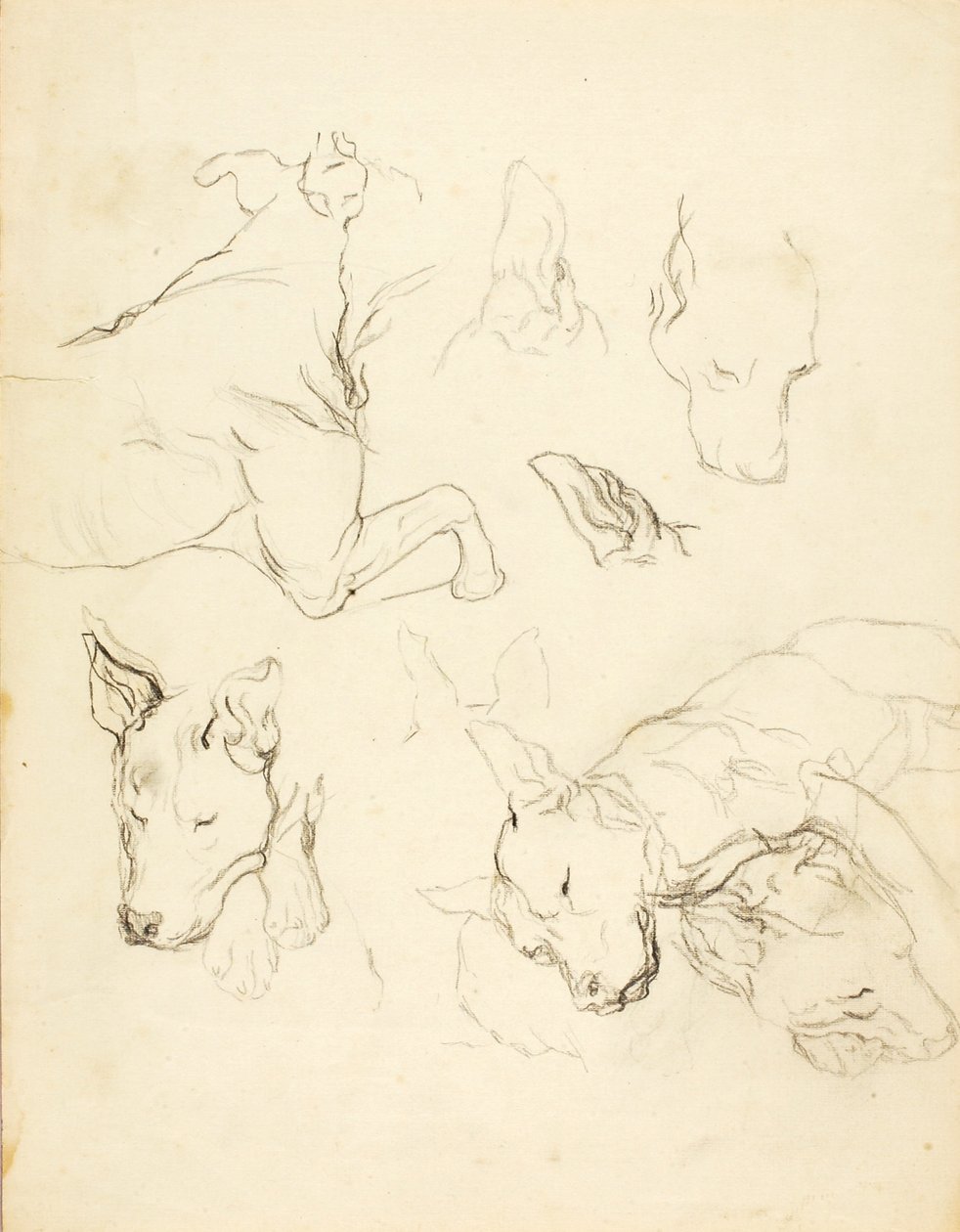 Schlafende Hunde von Solon H. Borglum