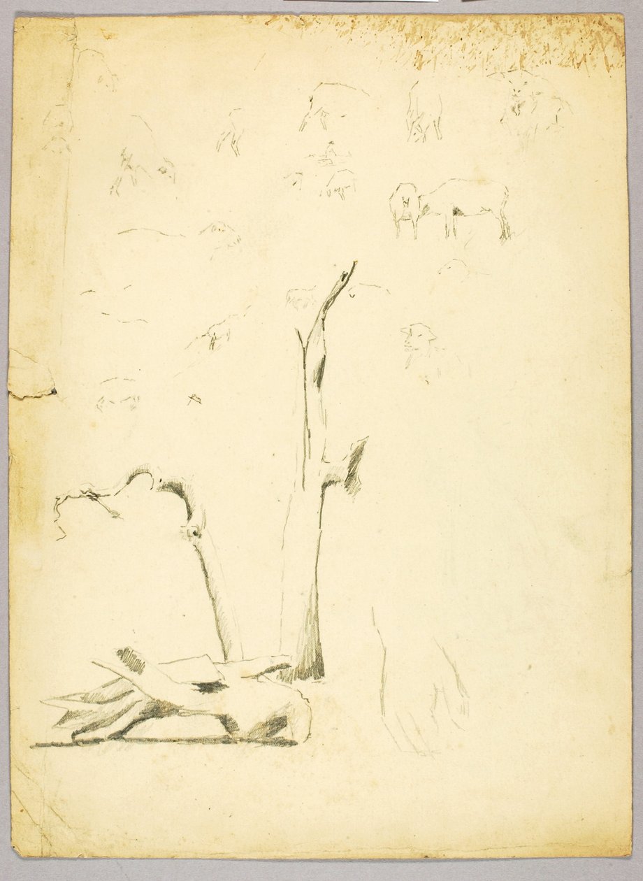 Baumstämme und Schafe von Solon H. Borglum
