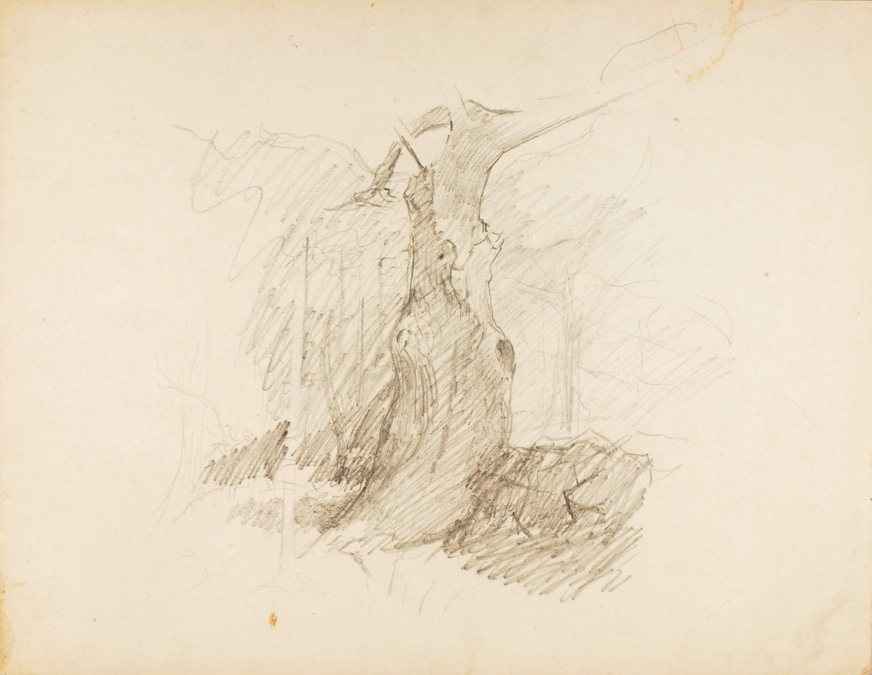 Ohne Titel von Solon H. Borglum
