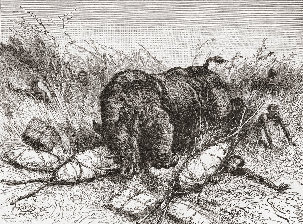 Ein Nashorn greift eine Expedition an, aus 