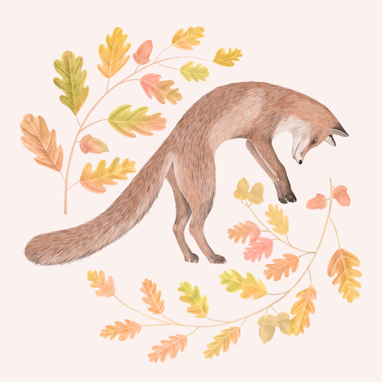 Springender Fuchs von Stacy Hsu