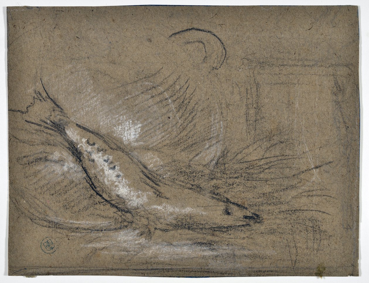 Fischstudie von Stanislas Torrents y de Amat