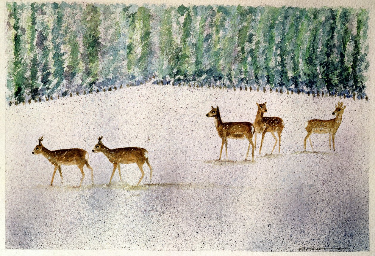 Hirsche im Schnee von Suzi Kennett