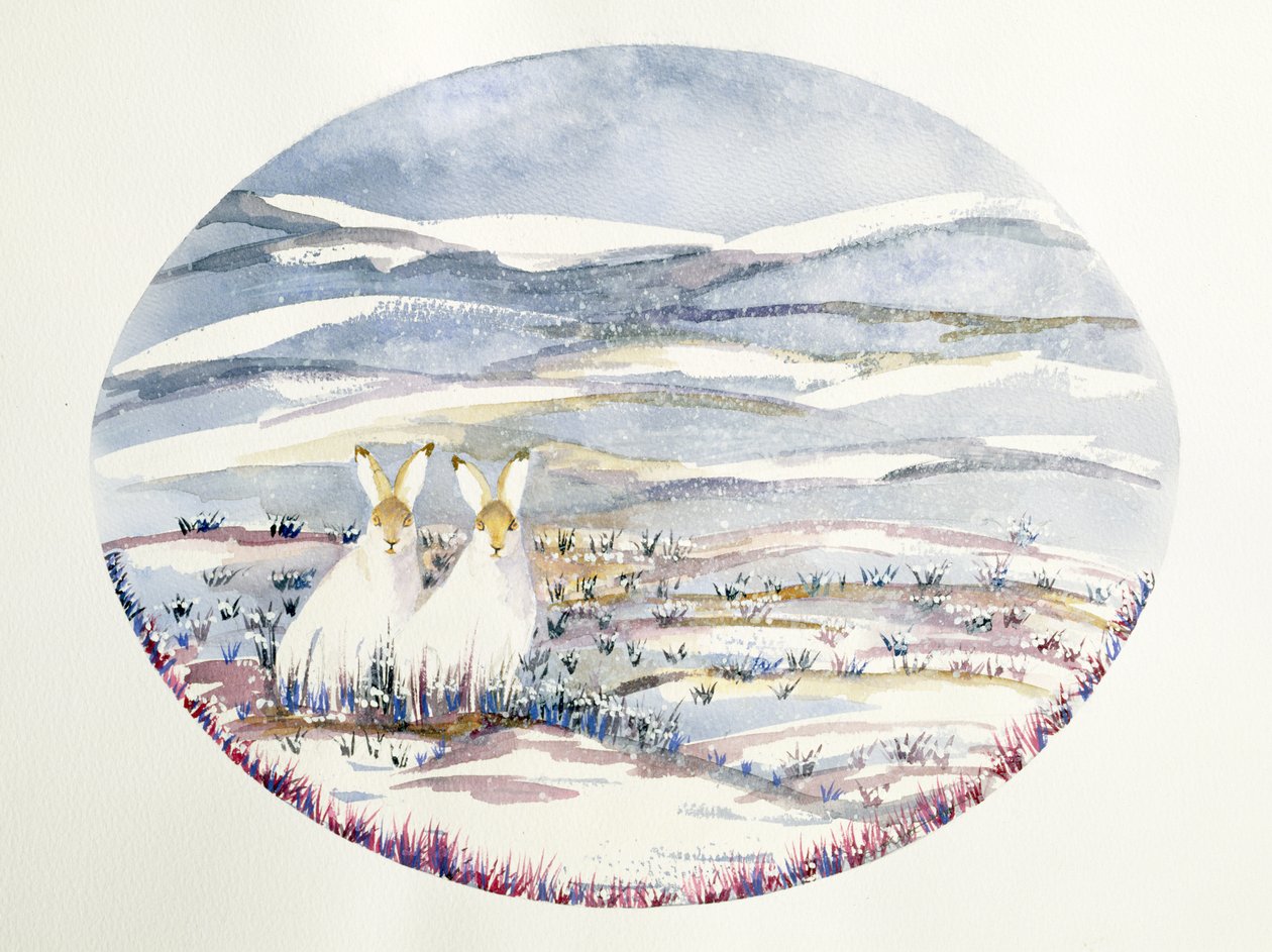 Zwei Hasen in einer verschneiten Landschaft von Suzi Kennett