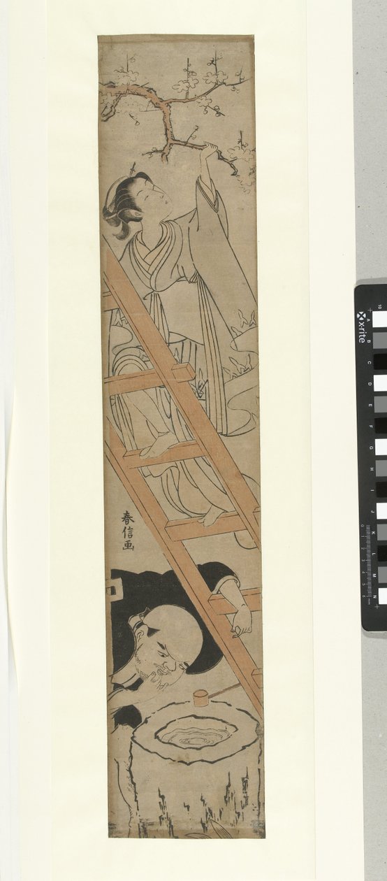 Mädchen auf Leiter von Suzuki Harunobu