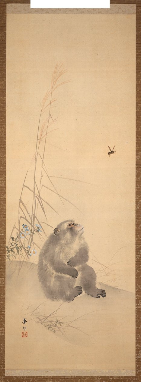 Affe von Suzuki Kason