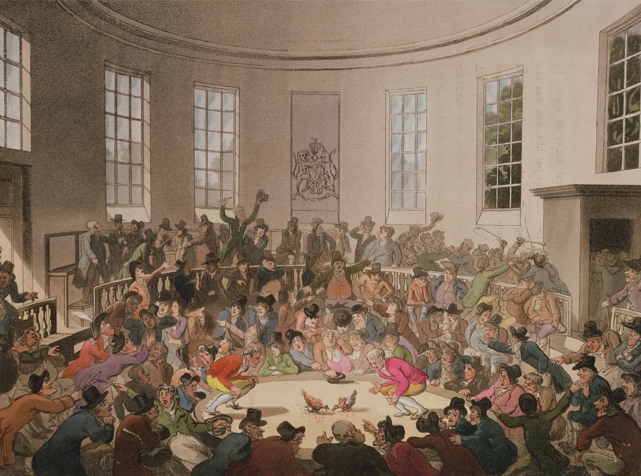 Royal Cock Pit, 1808 von Pugin and Rowlandson