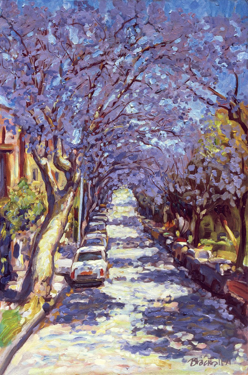Nord-Sydney Jacaranda, 1990 von Ted Blackall