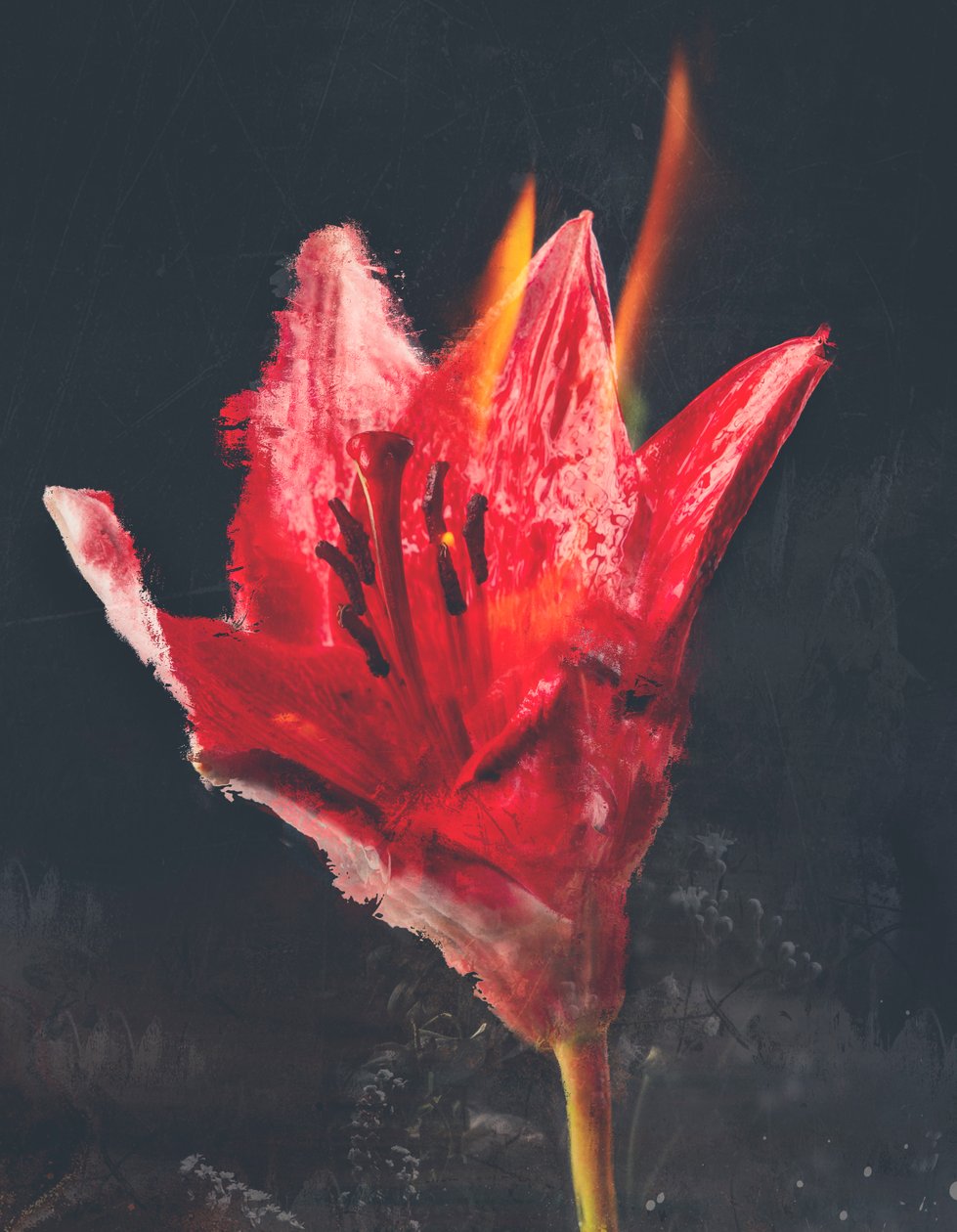 Verbrennen, 2019 von Teis Albers