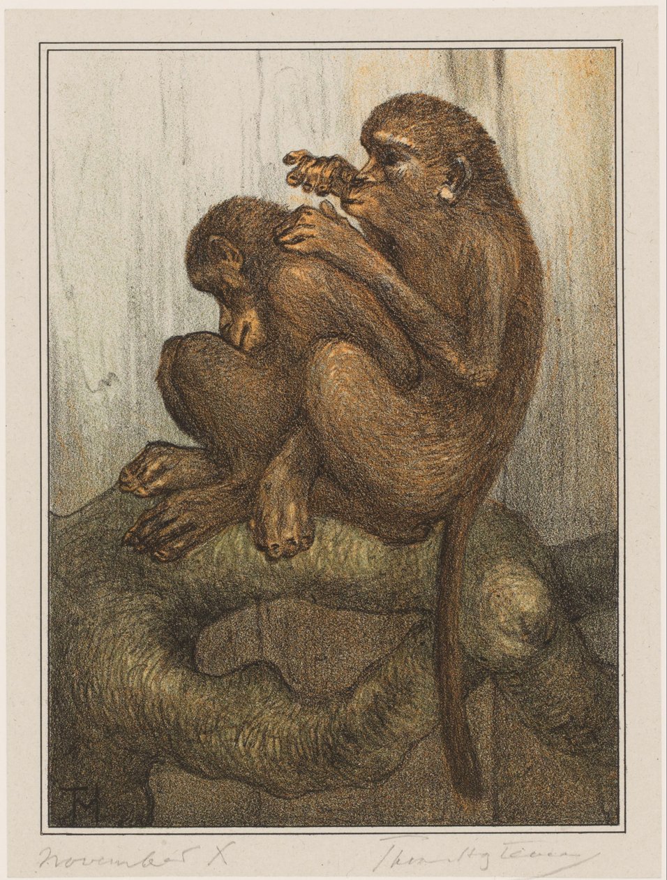 Lausende Affen von Theo van Hoytema (signed by artist)