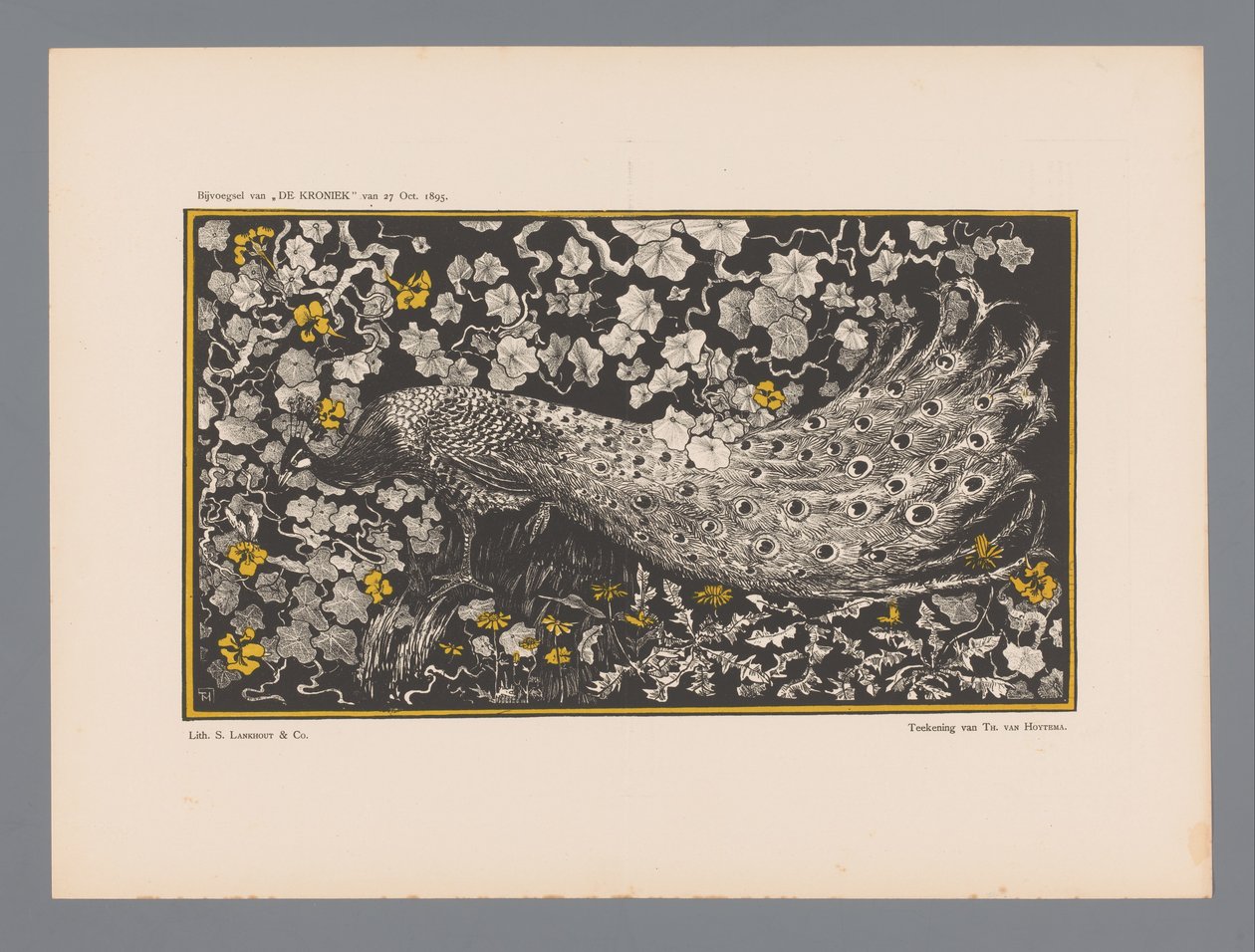 Pfau von Theo van Hoytema