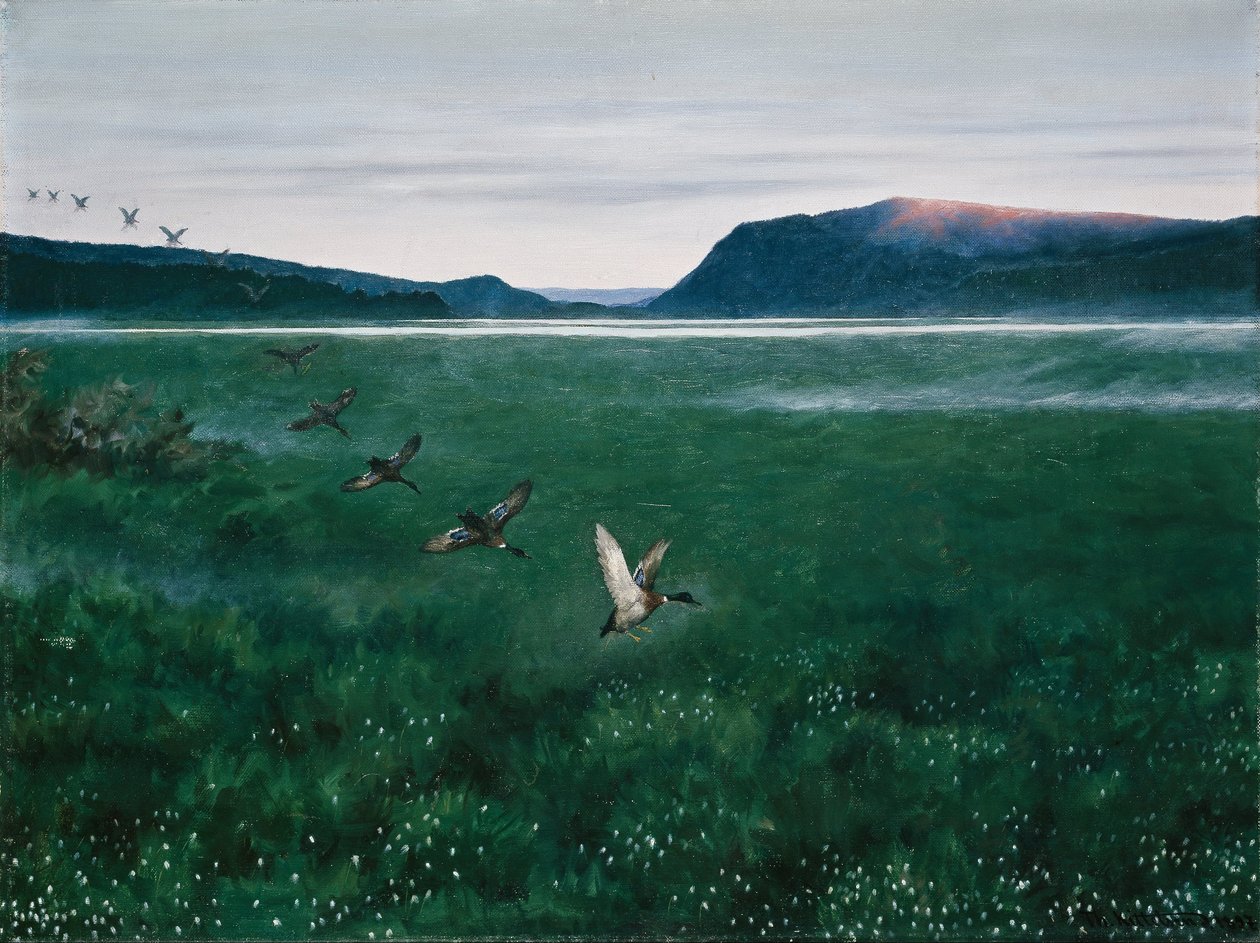 Die zwölf wilden Enten von Theodor Kittelsen