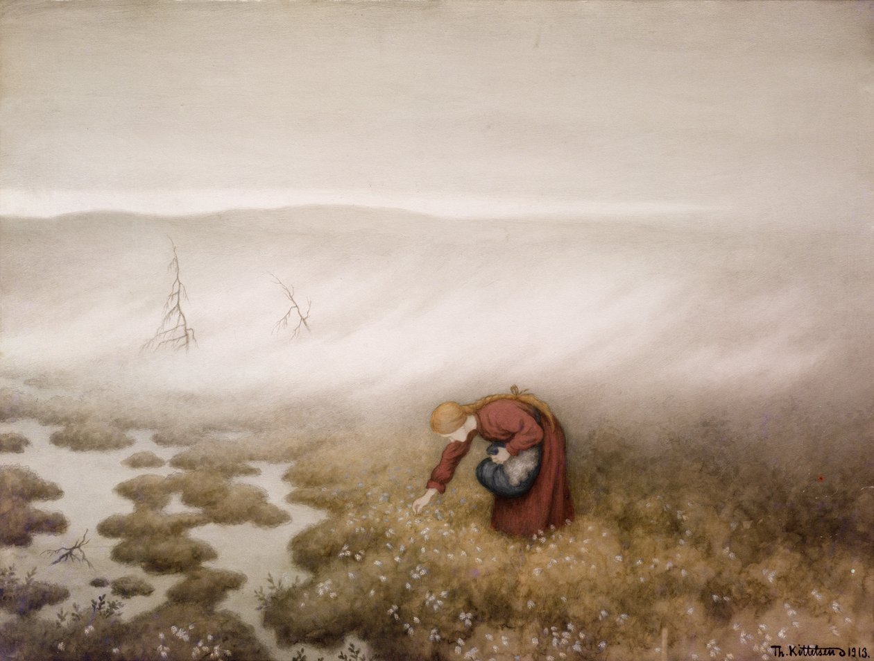 Wollgras von Theodor Kittelsen