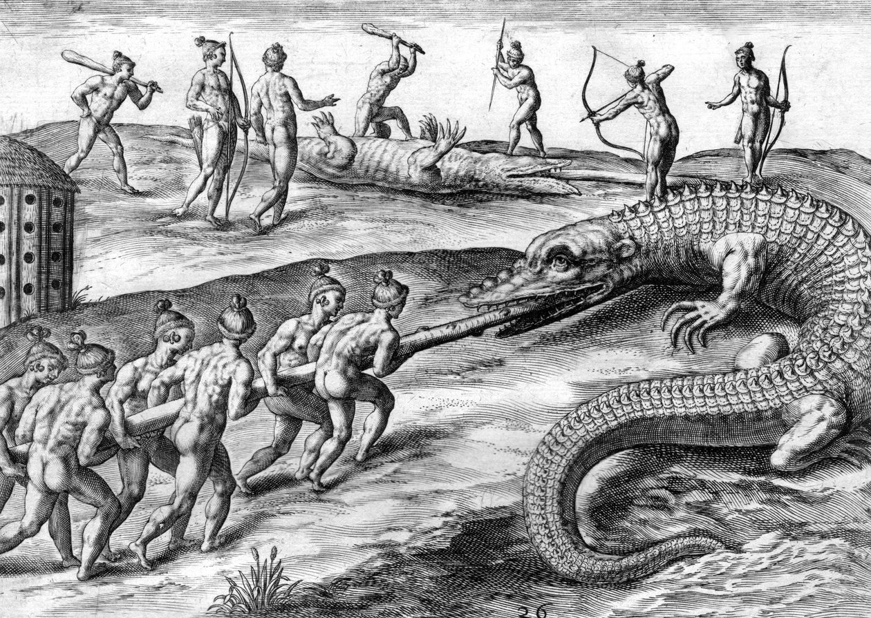 Timucuan-Indianer jagen Alligator von Theodor de Bry
