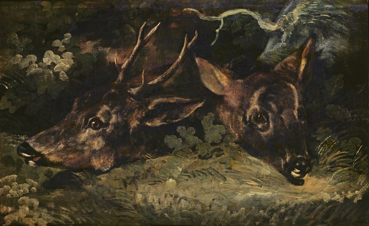Köpfe von Rehen, 1815 von Theodore Gericault