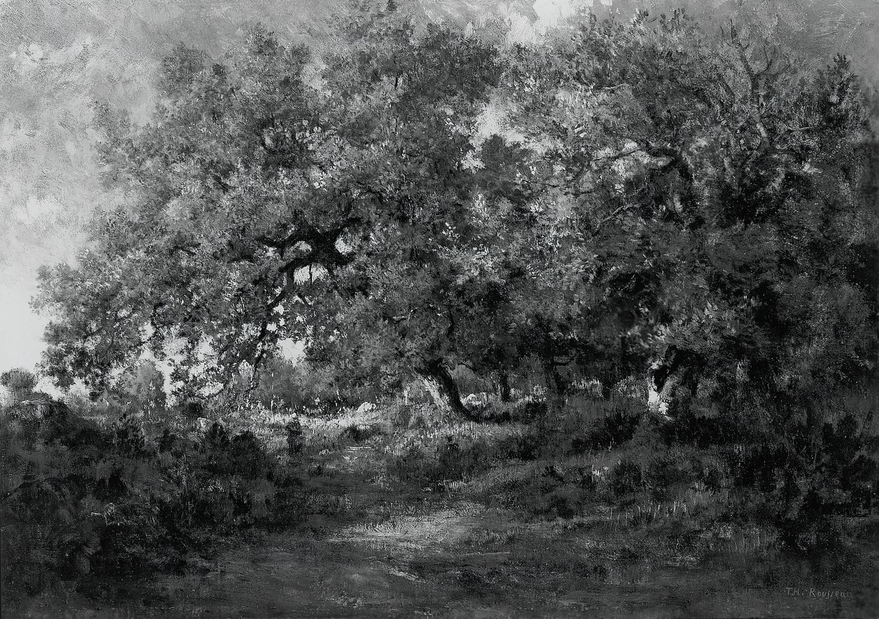 Landschaft, um 1860 von Theodore Rousseau