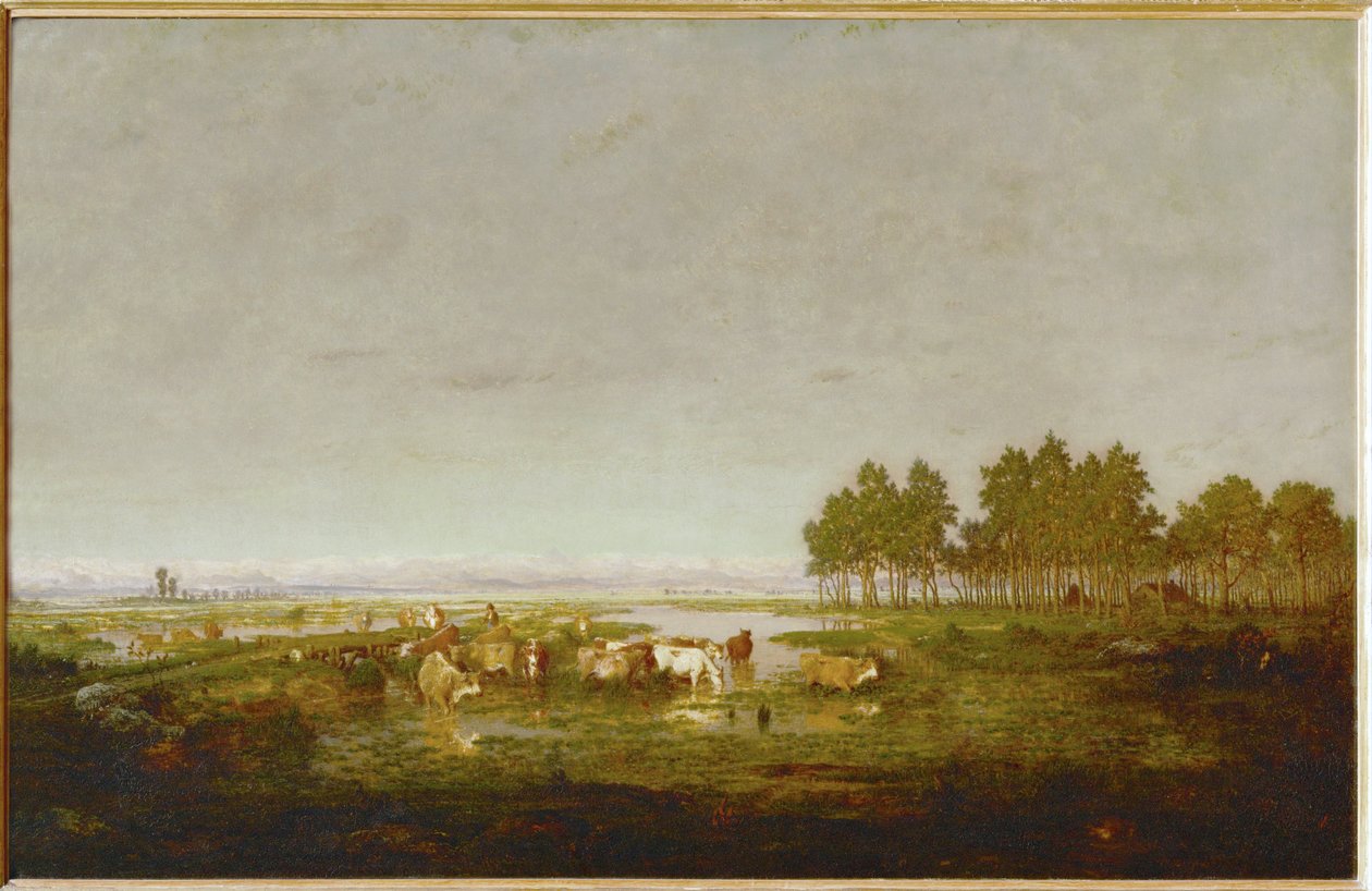 Ein Sumpf in den Landes von Theodore Rousseau