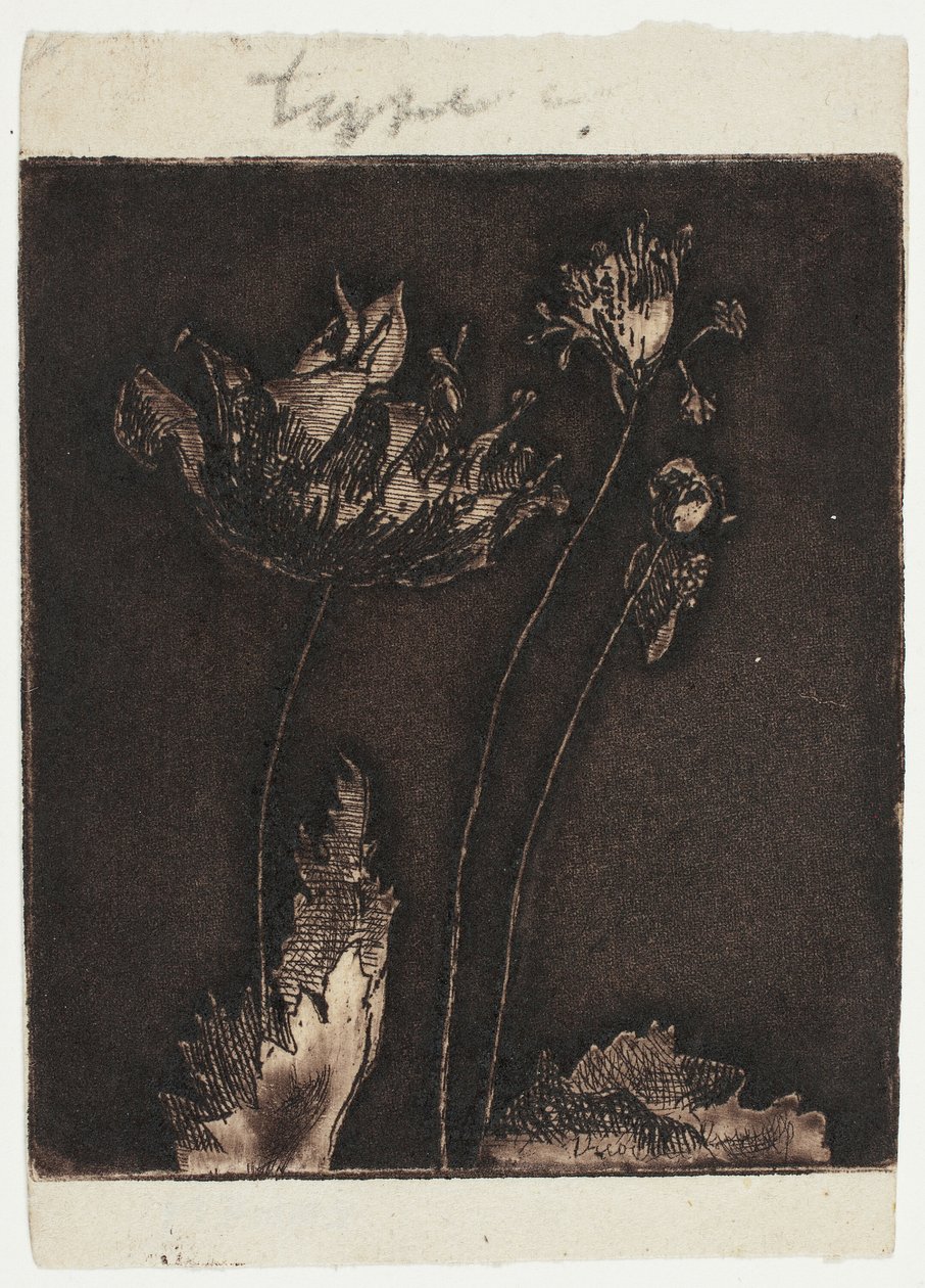 Letzte Mohnblumen von Theodore Roussel