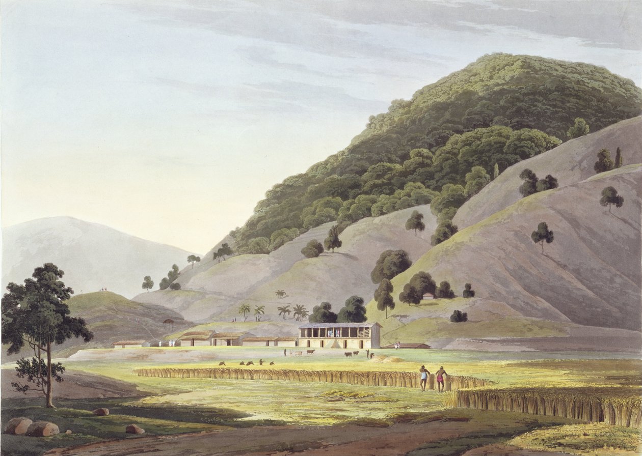 Jugeanor, in den Bergen von Sirinagur, Tafel 142 aus 