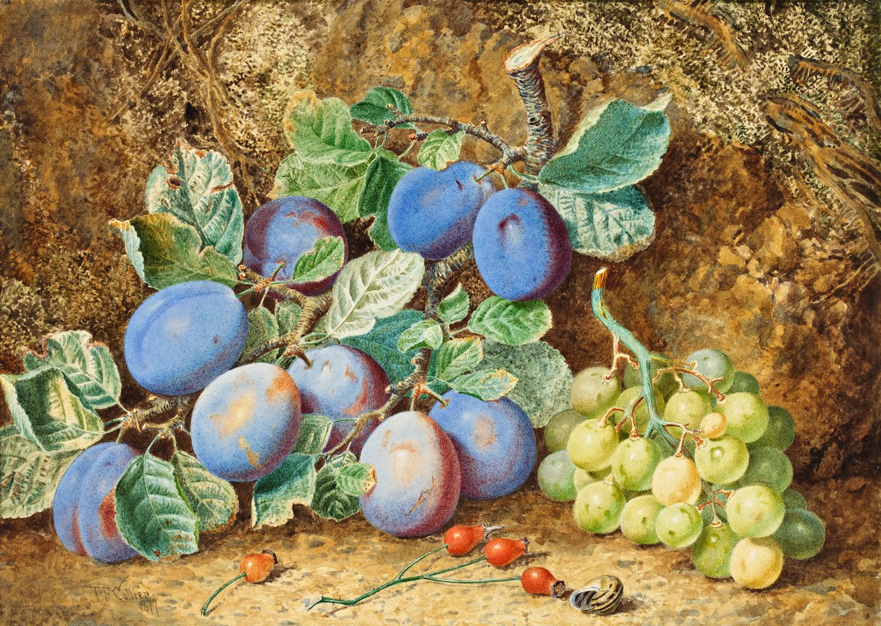 Pflaumen und Trauben, 1877 von Thomas Collier