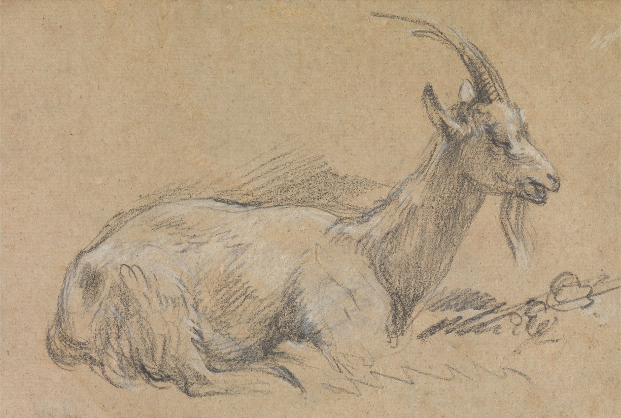 Studie einer Ziege von Thomas Gainsborough