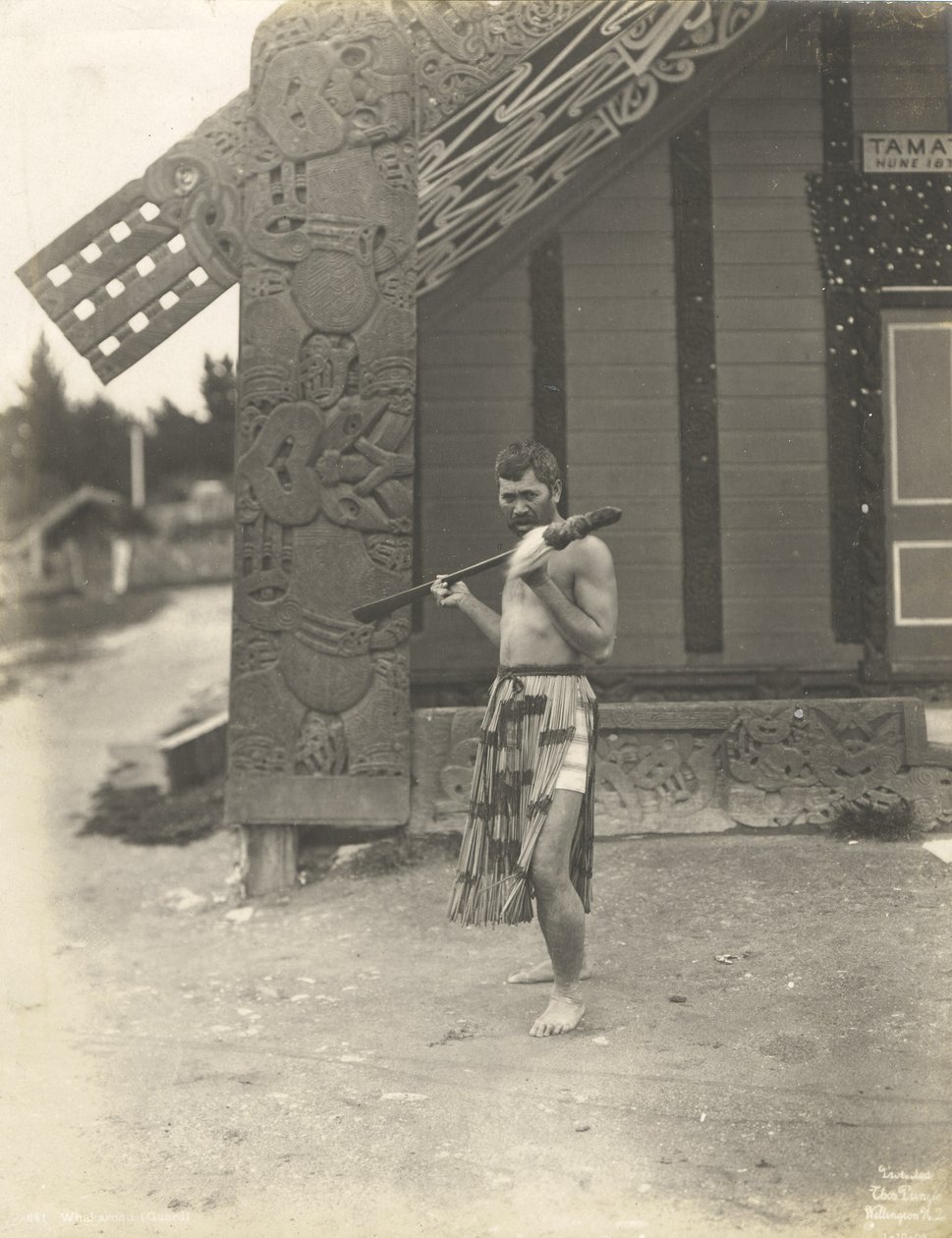 Whakaronu (Wache) 1905 von Thomas Pringle