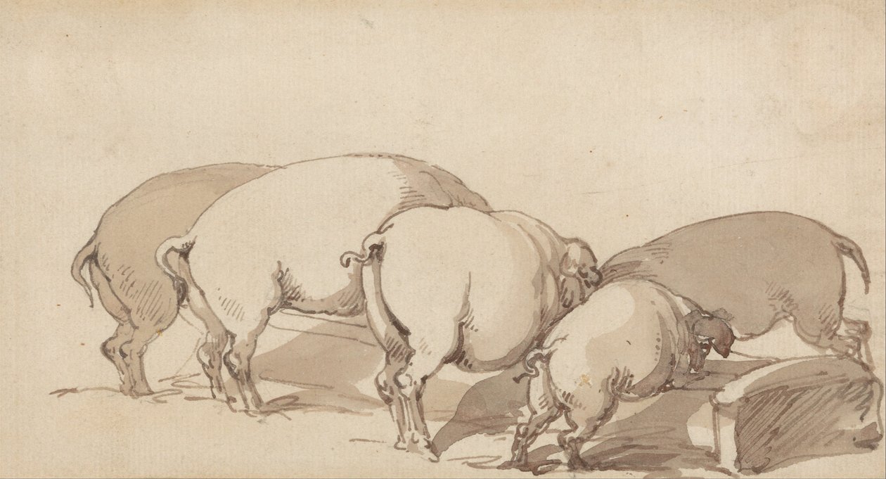 Schweine an einer Tränke von Thomas Rowlandson