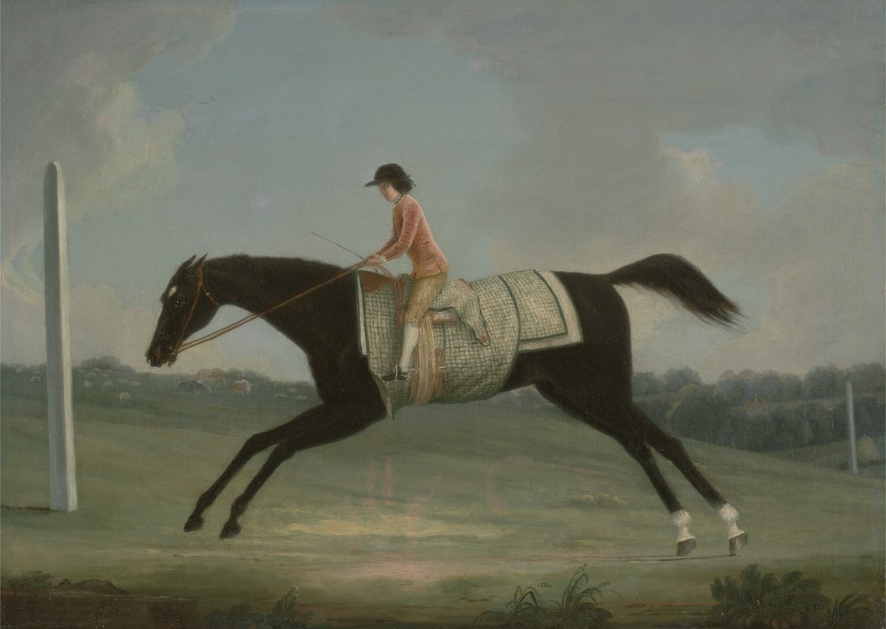 Borlase Cokayne als Junge, der Sultana reitet, 1751 von Thomas Smith of Derby