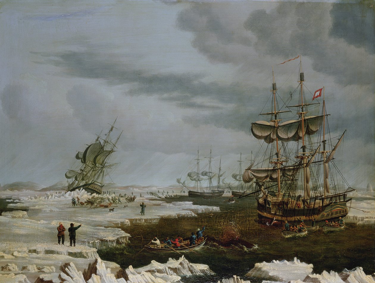 Hull-Walfänger in der Arktis von Thomas A. Binks
