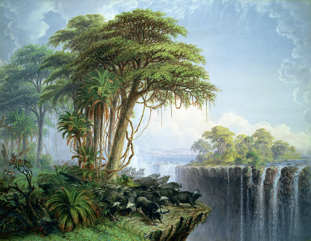 Unbekanntes Bild von Thomas Baines