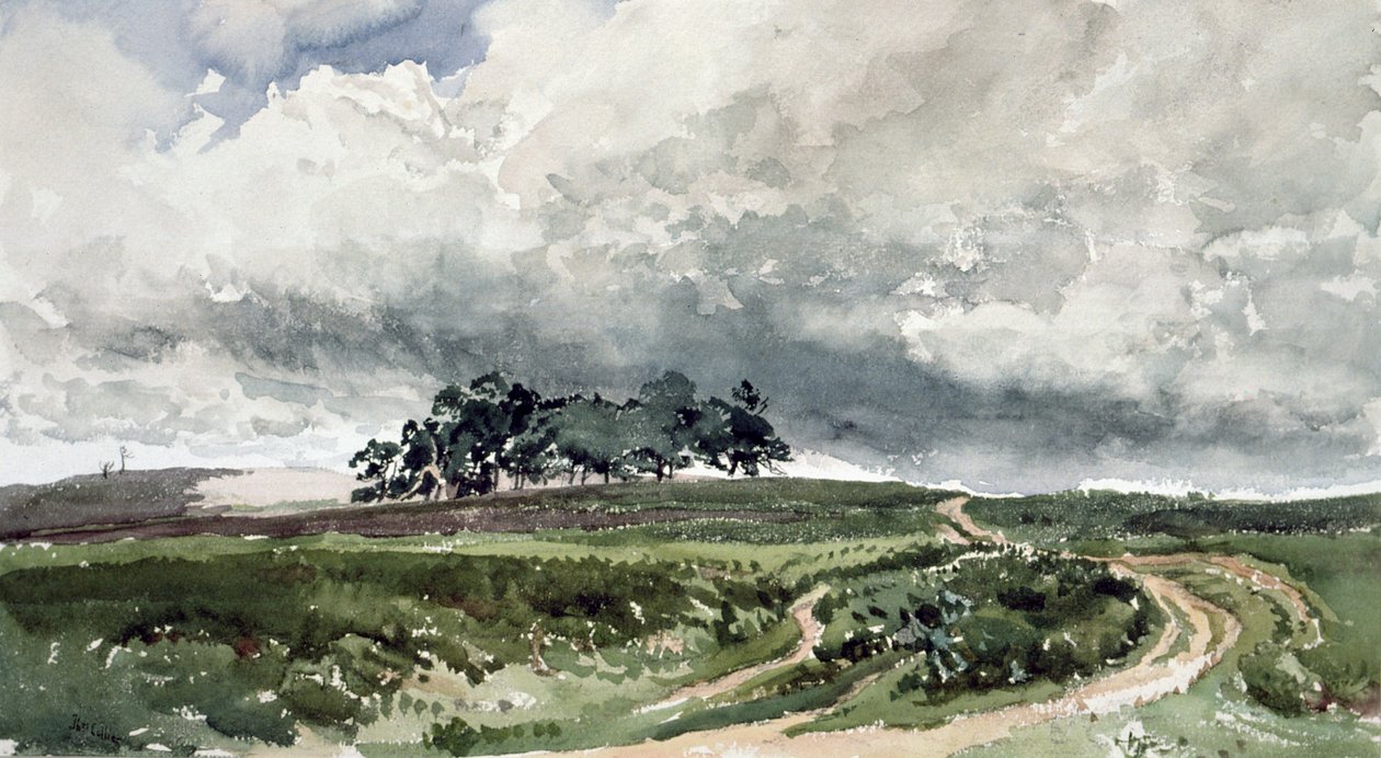 Eine Heidelandschaft von Thomas Collier