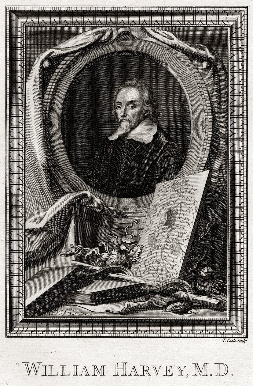 William Harvey, 1777 von Thomas Cook