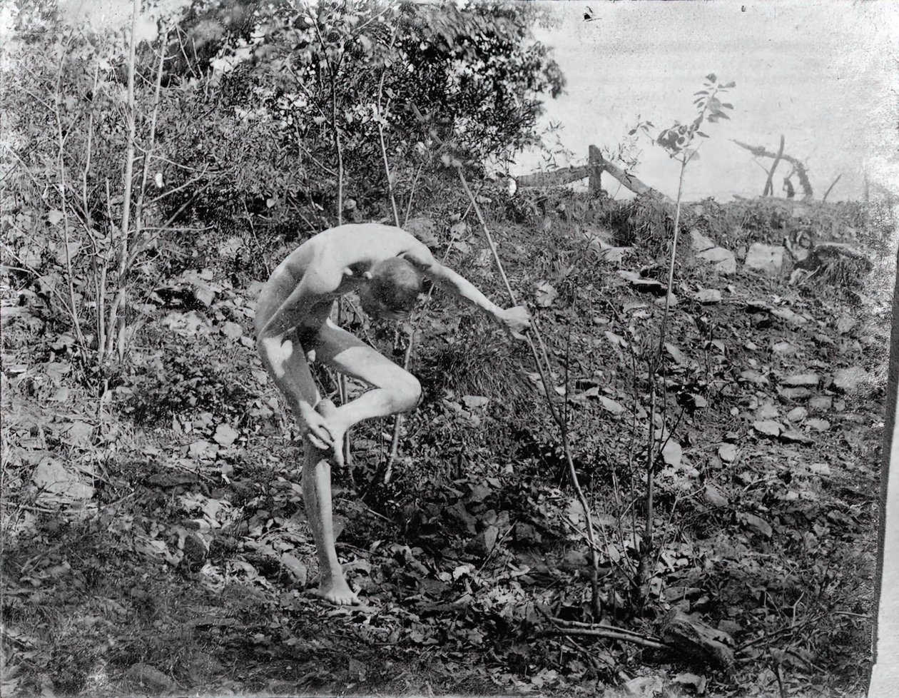 Dornzieher von Thomas Eakins