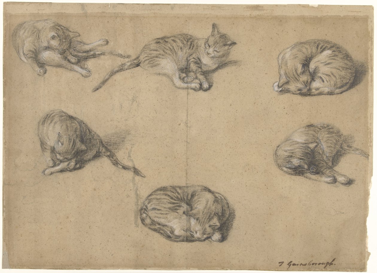 Sechs Studien einer Katze von Thomas Gainsborough