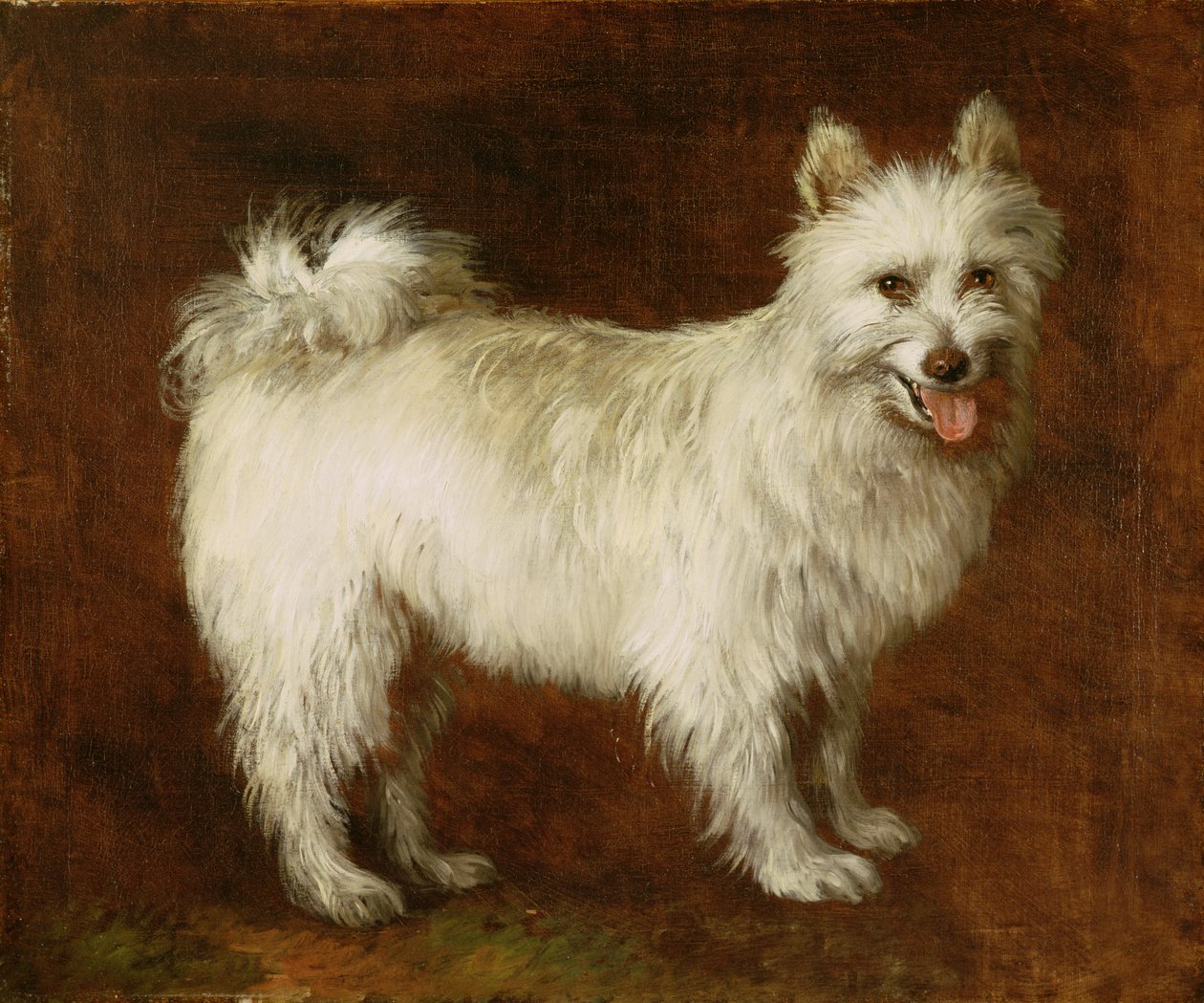 Spitzhund von Thomas Gainsborough