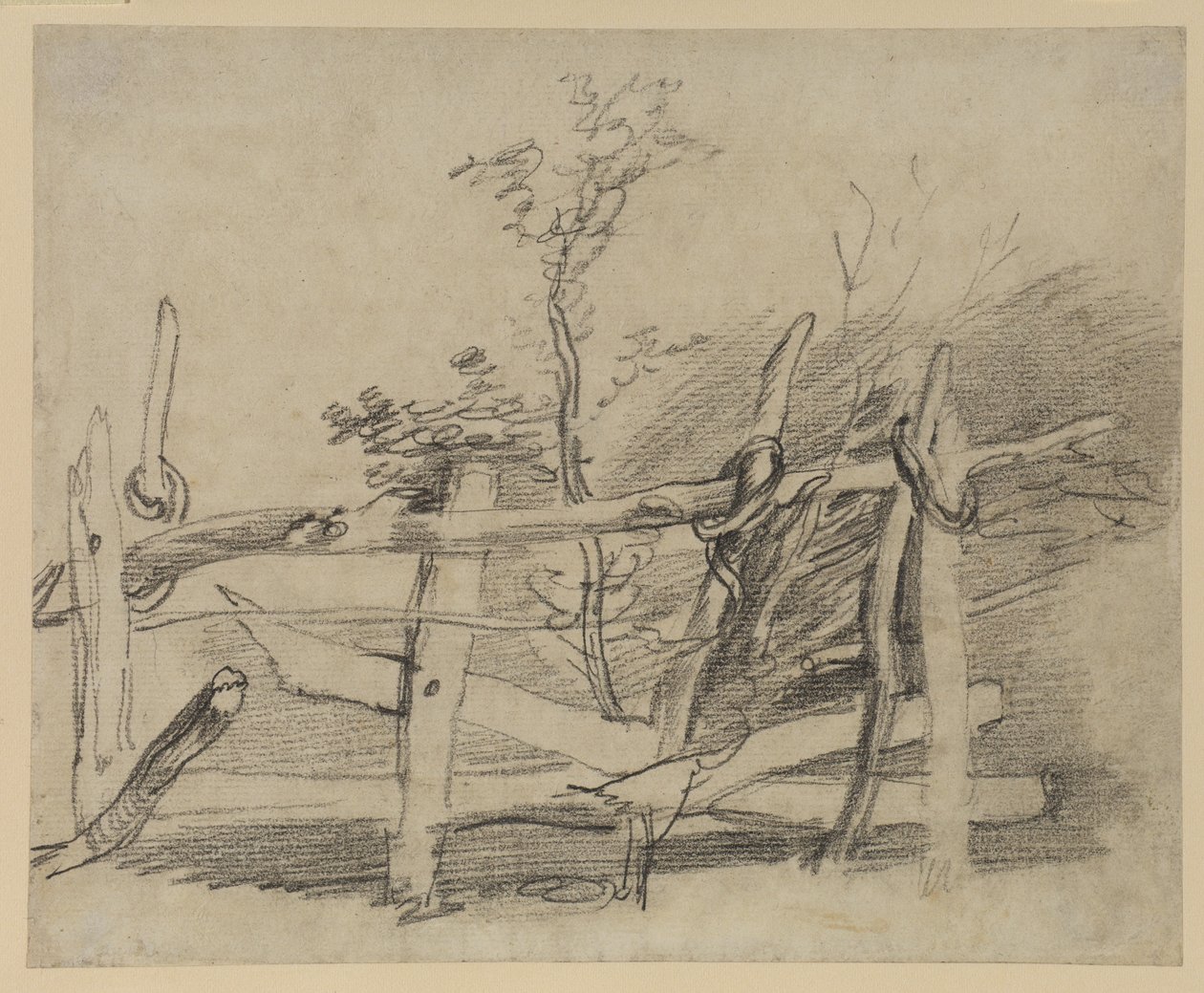 Studie eines alten Hürden von Thomas Gainsborough