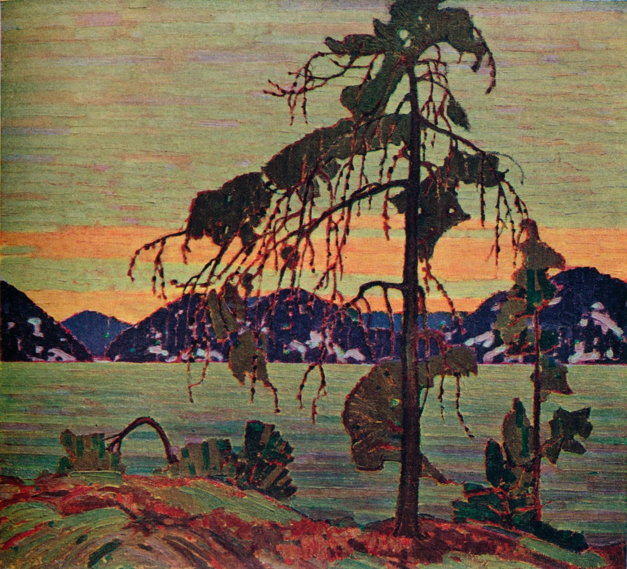 Die Jack Pine, 1917 von Tom Thomson