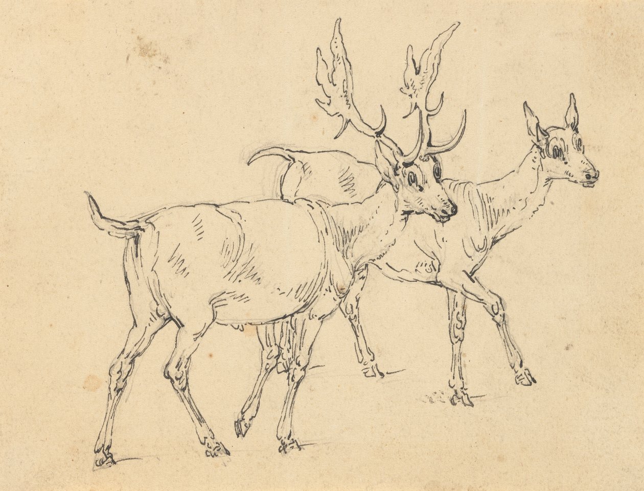 Albumzeichnung von Thomas Rowlandson
