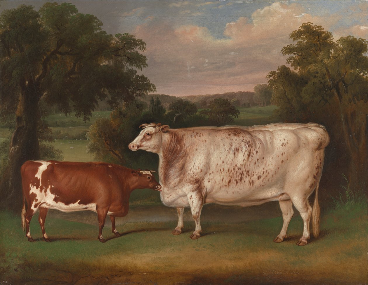 Preisrinder in einer Landschaft von Thomas Weaver