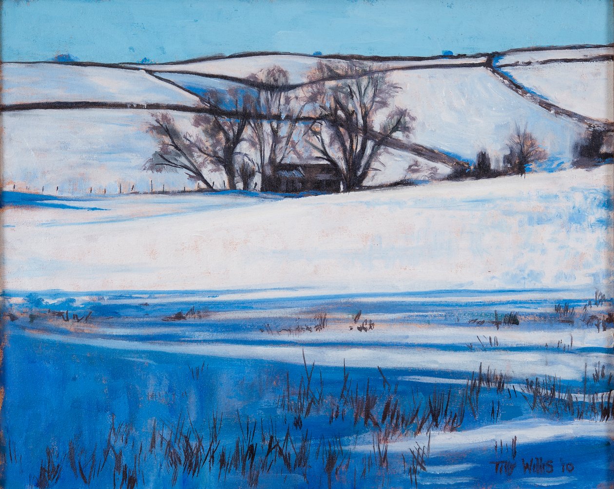 Schneeschatten, 2010 von Tilly Willis