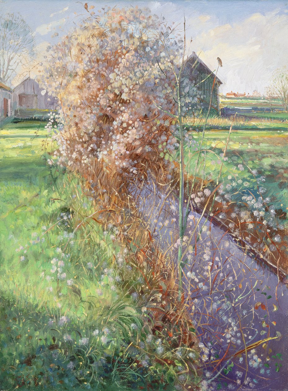 Bärtiger Busch von Timothy Easton