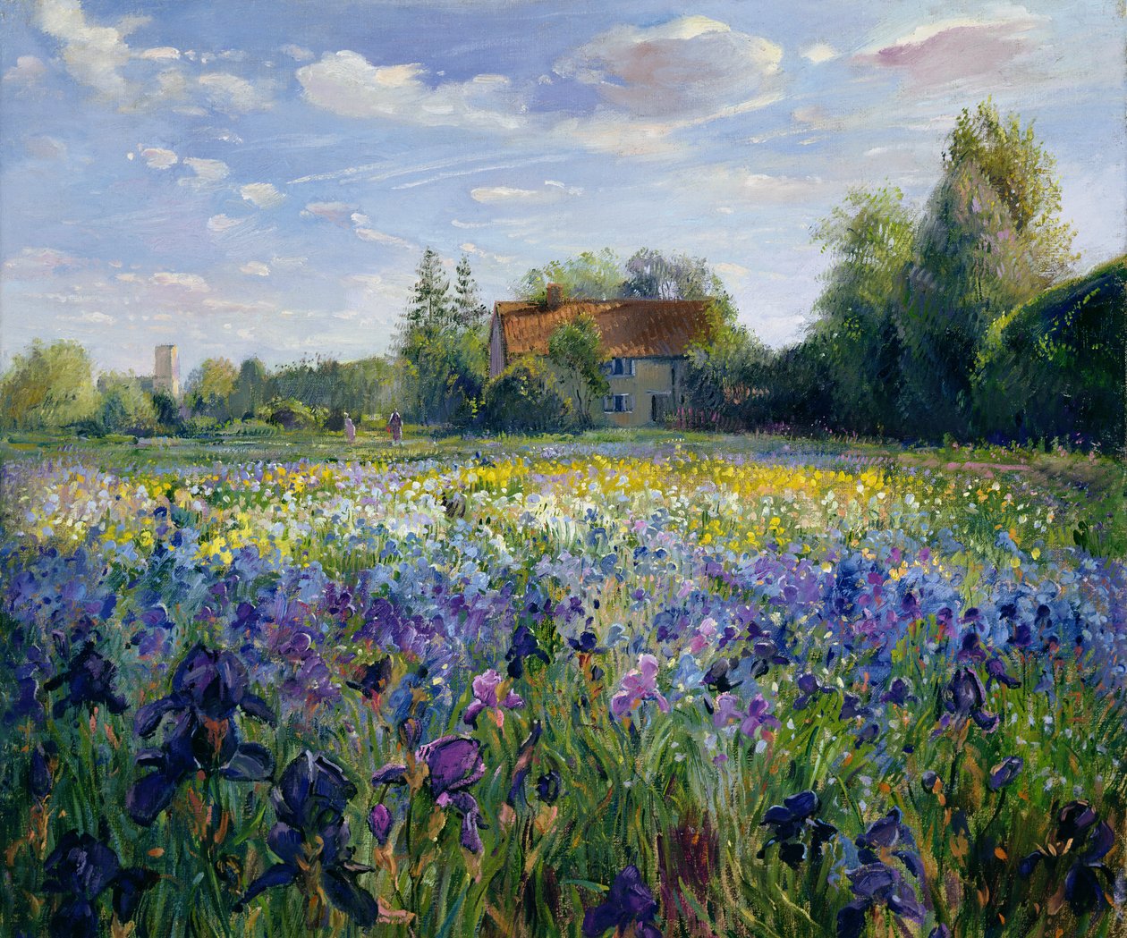 Abend im Irisfeld von Timothy Easton