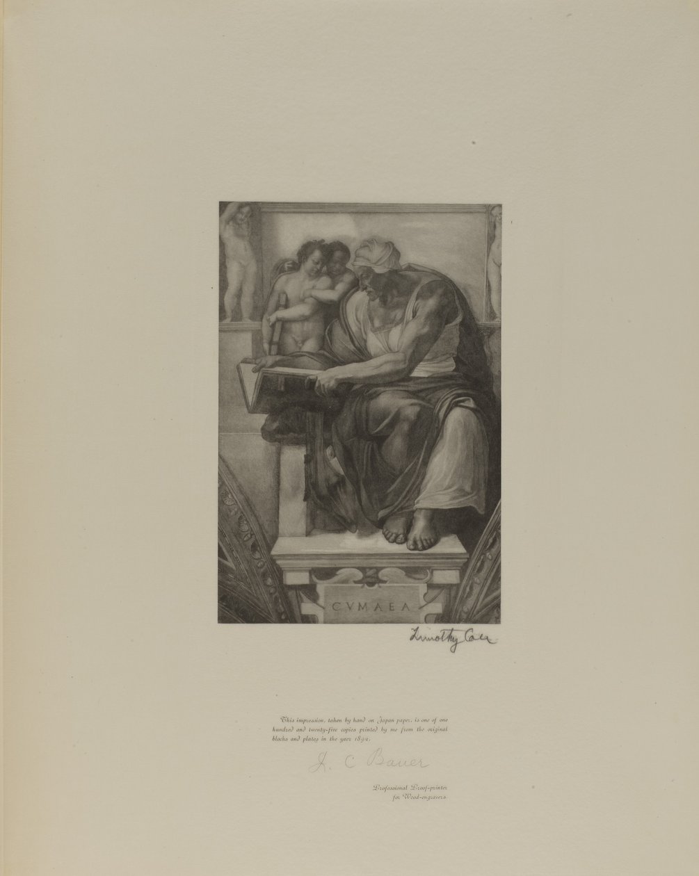 Alte italienische Meister von Timothy Cole