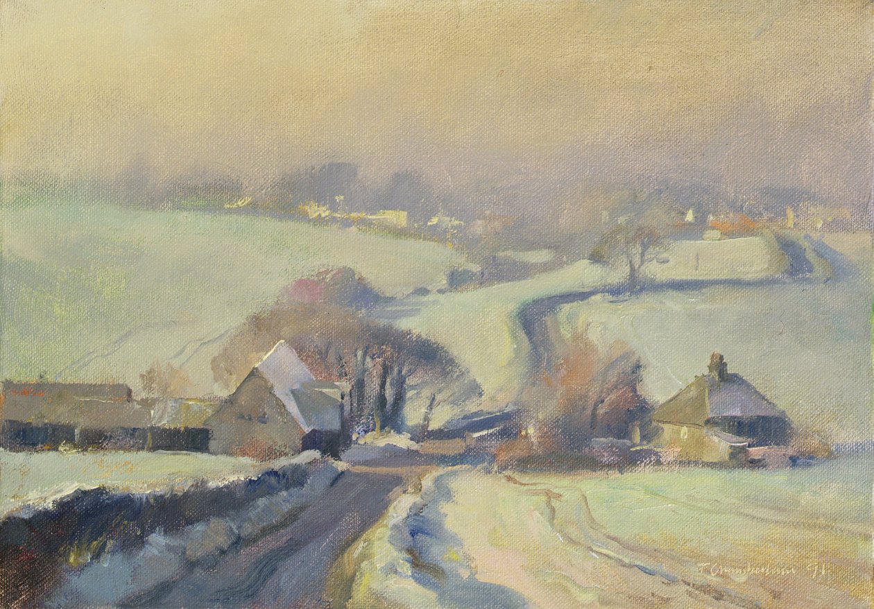 Frostige Felder, Aston, 1991 von Trevor Chamberlain