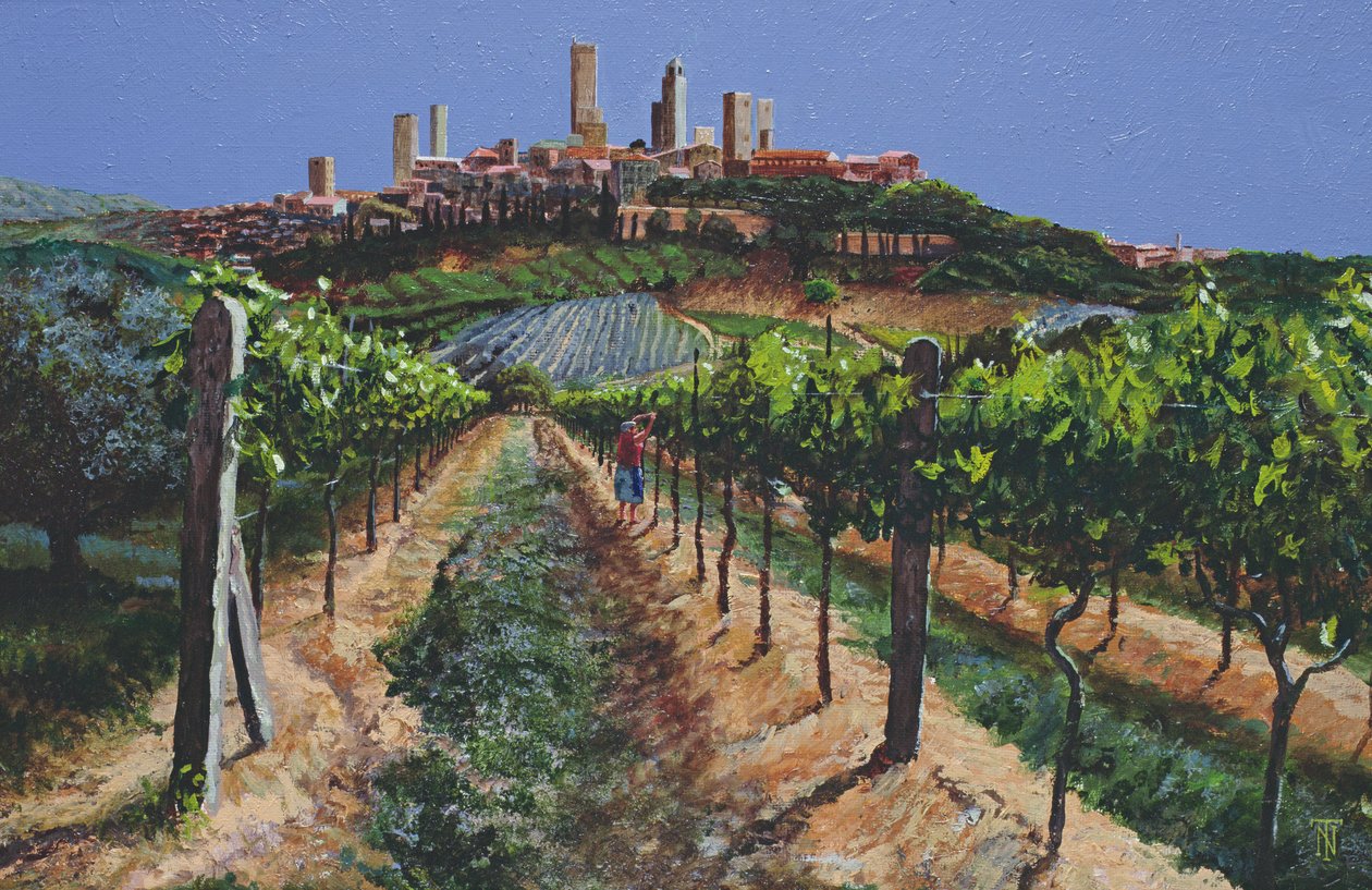 Weinreben, San Gimignano, Toskana, 1998 von Trevor Neal