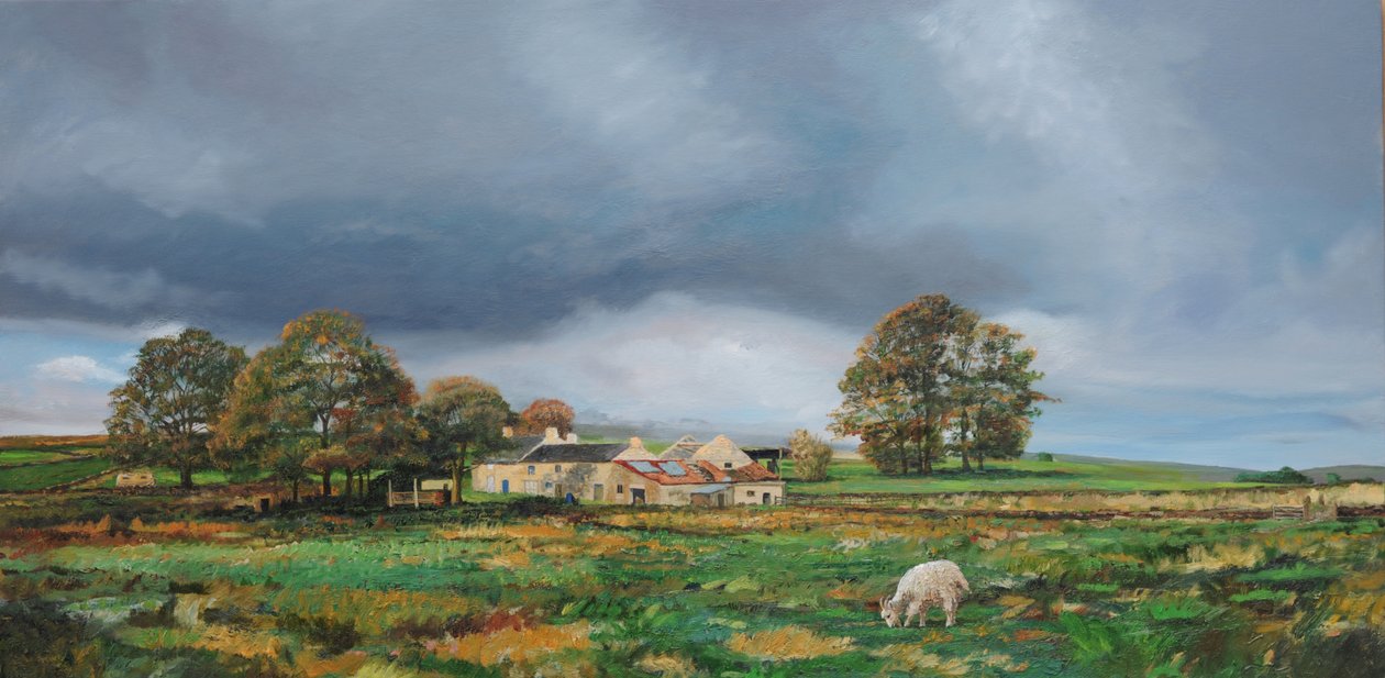 Alter Bauernhof, Monyash, Derbyshire, 2009 von Trevor Neal