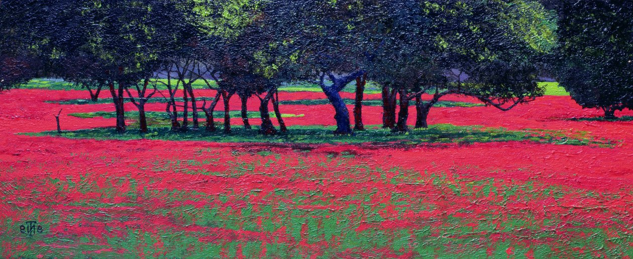 Roter Schock, 1999 von Trevor Neal