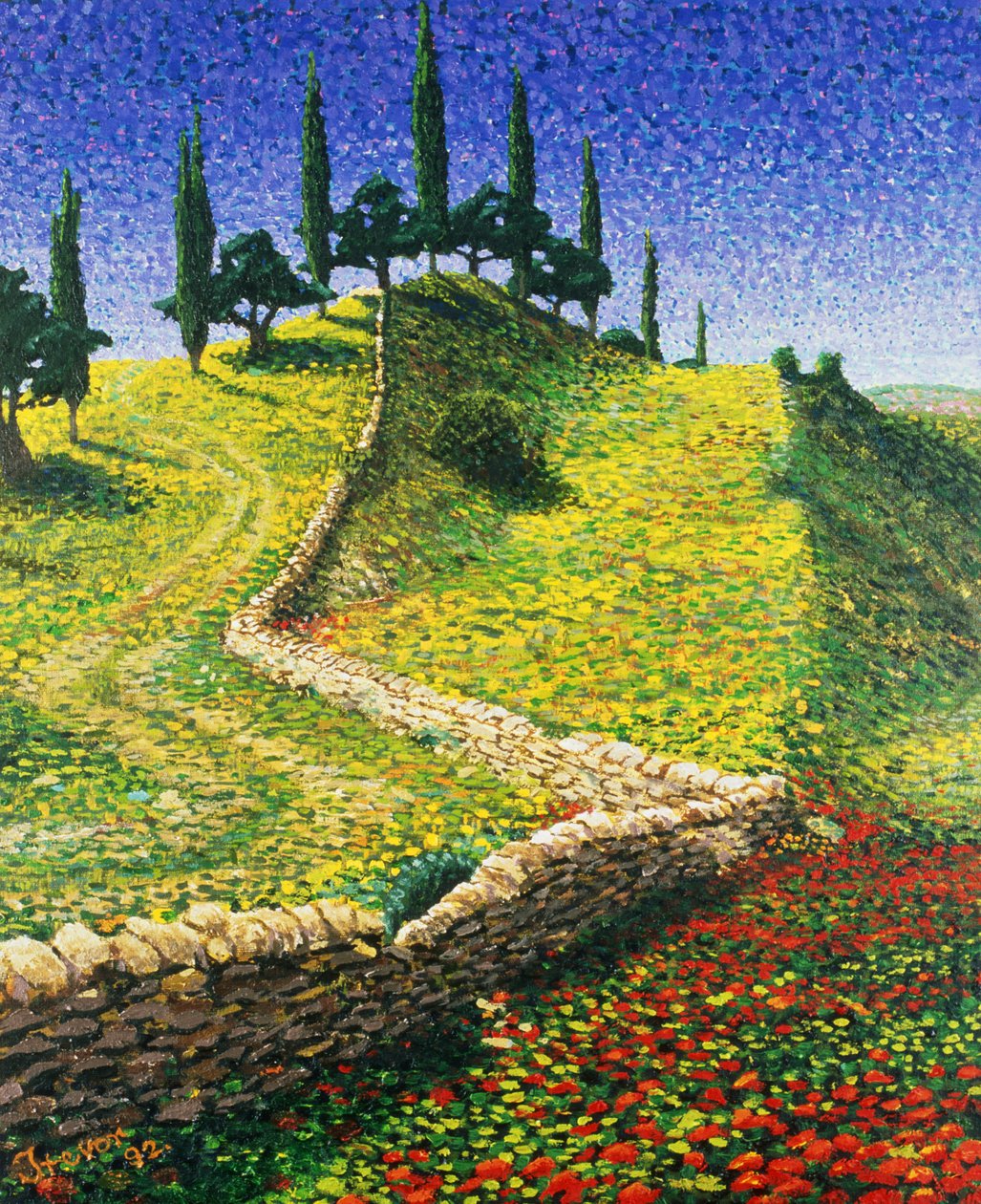 Spanischer Hügel, 1992 von Trevor Neal