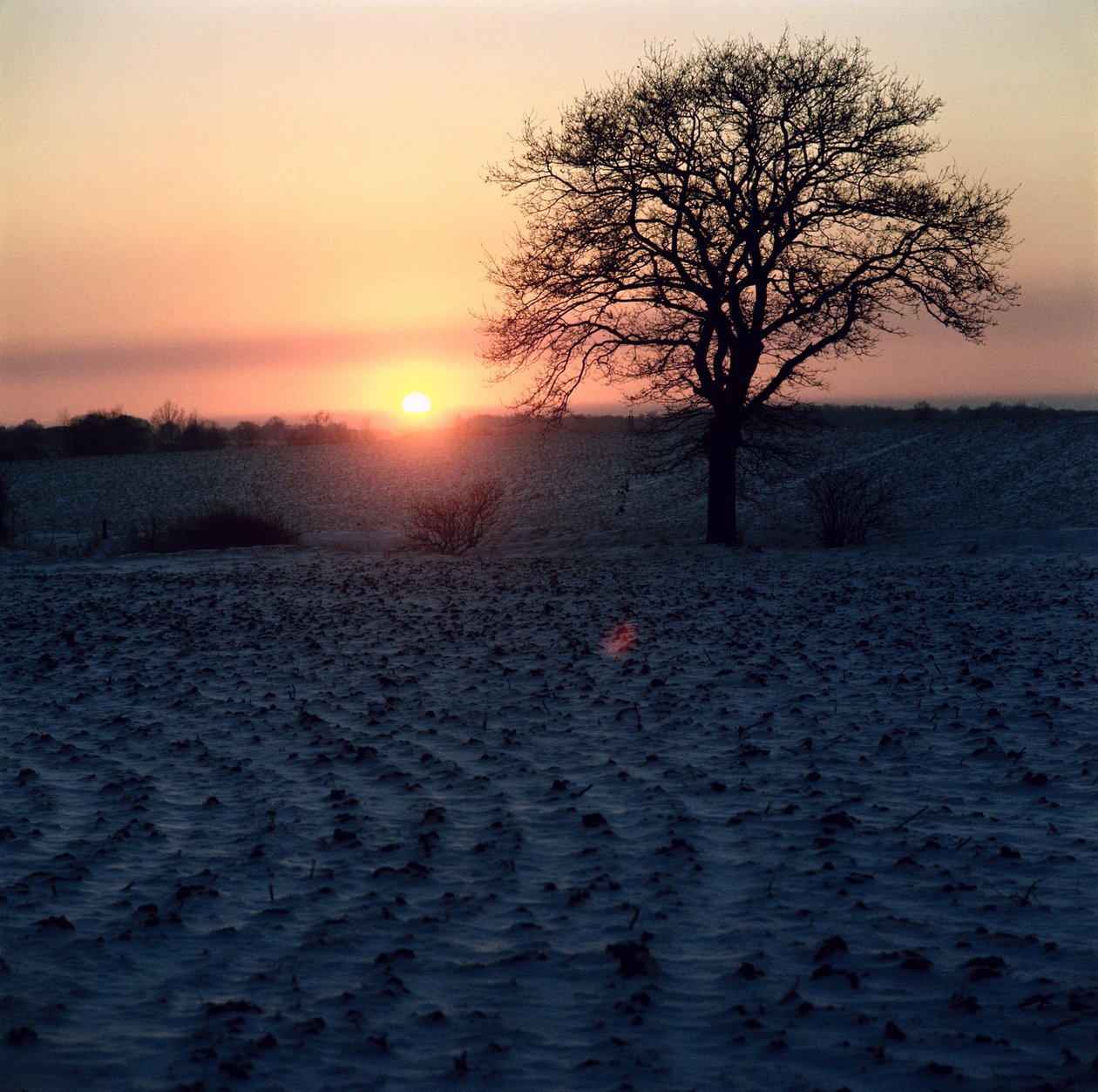 Wintersonnenuntergang, Essex von Unbekannt Unbekannt