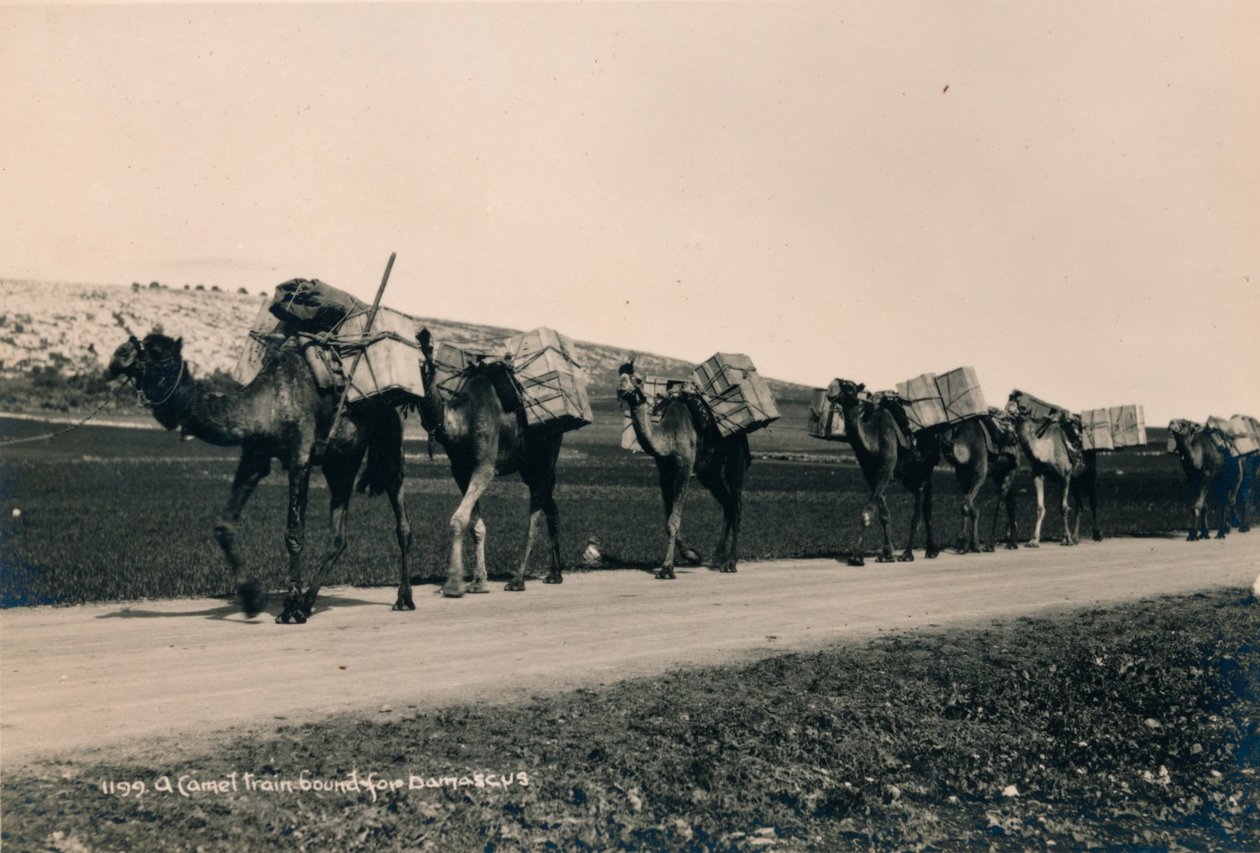 Eine Kamelkarawane auf dem Weg nach Damaskus von Unbekannt